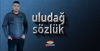 saraca silsüpüroğlu / #2344786