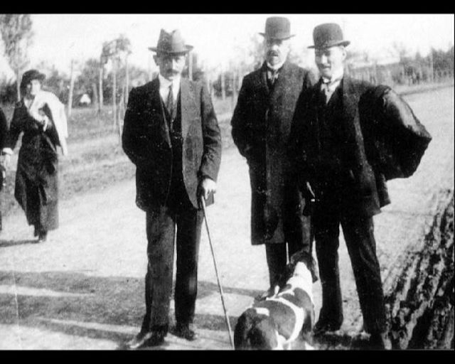 tayyip erdoğan ın kedisi vs atatürk ün köpeği uludağ sözlük