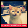 belaltı konuşanların genelde icraatte sıfır olması / #2383752