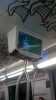 istanbul anadolu metro hattının koyun kokması / #1053906