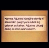 ağustos böceği ve karıncanın hikayesi / #1496684