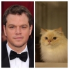 levent yüksel matt damon benzerliği / #1416469