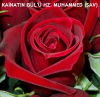 hz muhammed / #2425915