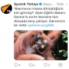 maymunun insana dönüştüğünü kim görmüş / #1623835