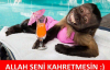 sözlük kızları niye bu kadar çirkin ya / #1525170