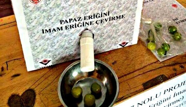 imam hatipliler dünyaya yön veriyor
