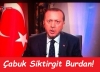 osmanlı padişahlarının eşleri / #1541574