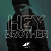 coca cola nın hey brother temalı reklamı / #1004619