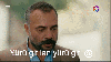 jose mourinho / #2439936