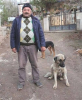 hangi yazar gözünde nasıl canlanıyor