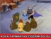 kova vurmaktan ciğeri sönen adam / #1175670