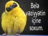 2016 da kaldım yardım edin / #1291259