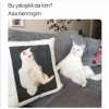 karton toplayan cocuk un neden boyle biri olmasi