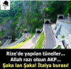 rize