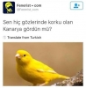 fenerbahçe