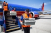 southwest havayolları nın 64 hayvanı taşıması / #1528222