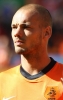 wesley sneijder