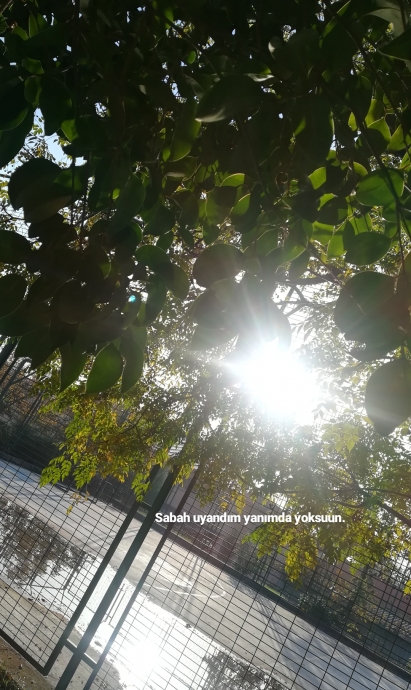 düşün ki o bunu okuyor