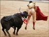 matador / #2273322