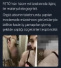 nurcu çiftleşmesi / #2169886