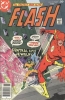 the flash / #1169071