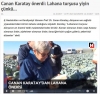 lahana turşusu / #1552967