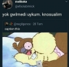 uykun geldiyse uyuyalım / #2053496