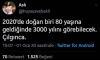 2020de doğan 80 yaşına gelince 3000 yılını görecek / #1958964