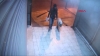 denizli de köpeğe tecavüz olayı / #2162933