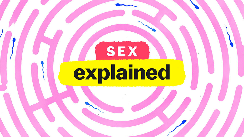 Sex Explained Uludağ Sözlük 