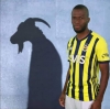 aslolan fenerbahce dir