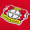 leverkusen