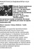 referanduma hayır diyen insan / #1331176