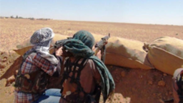 afrin deki vahşi yaşamın savaştan etkilenmesi