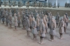 terracotta ordusu