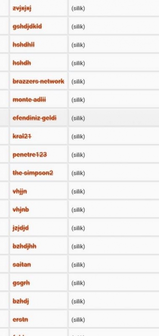 hdjd vsvh vjnn şeklinde nick alan çaylak hesaplar