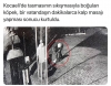 köpeğe kalp masajı yapan adam / #1953608