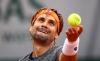 david ferrer / #1080485