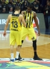 fenerbahçe erkek basketbol takımı