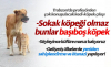 ruken kolcu