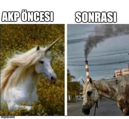 sözlük yazarlarını anlatan görüntüler