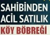 köy böbreği / #1350369