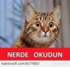 penisin içine demir çubuklar sokmak / #1093625