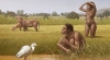 homo bodoensis / #2195599