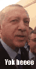 koli bandını dişiyle koparan kız korkunçluğu / #2433149