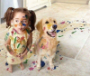 köpek alırken bilinmesi gerekenler / #1547153