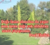 pandemi döneminde doğa ve vahşi yaşamın canlanması / #2008442