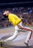 freddie mercury dünyanın en iyi vokalidir / #1458732