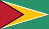 guyana bayrağı