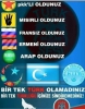 herşey oldunuz türk olamadınız / #2068180